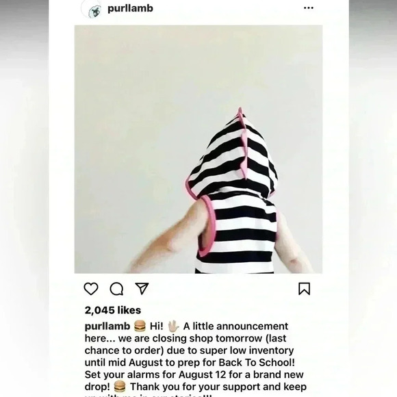 Purl Lamb 0/6Mo Striped Dino Hoodie Shipped via USPS - Picture 4 of 5